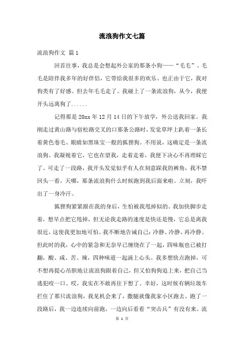 流浪狗作文七篇