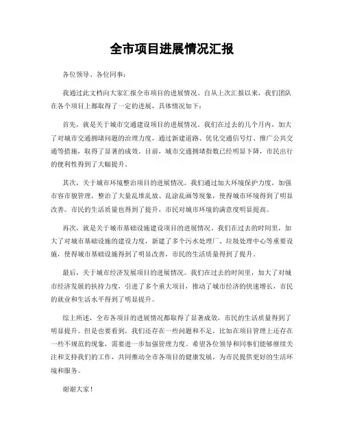 全市项目进展情况汇报