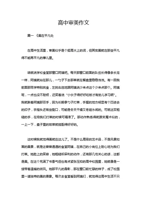 高中审美作文
