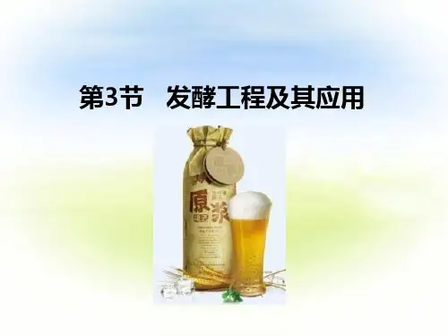 1.3 发酵工程及其应用 课件-2021-2022学年人教版（2019）高中生物选择性必修3
