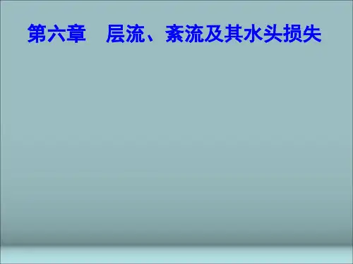 第六章 层流、紊流及其水头损失