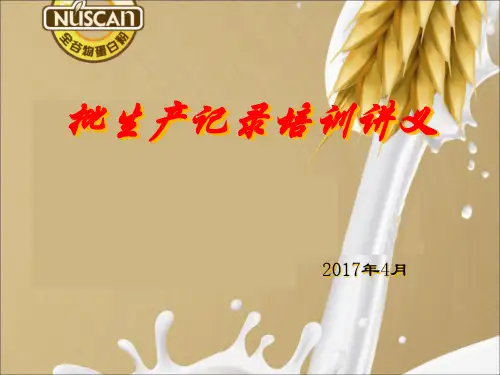 批生产记录培训讲义