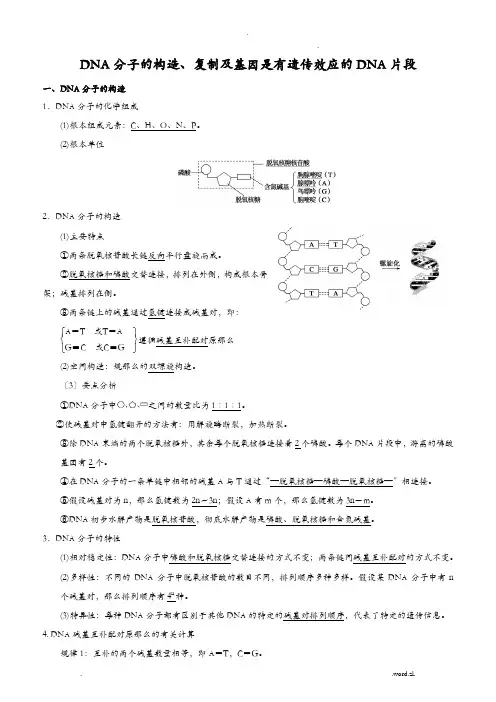DNA分子结构及复制