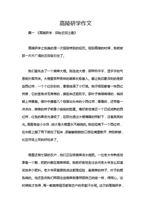 高陵研学作文