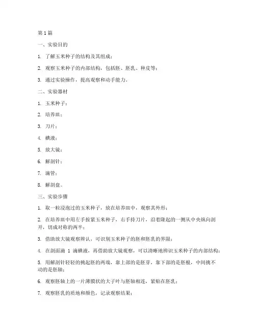 玉米解剖观察实验报告(3篇)