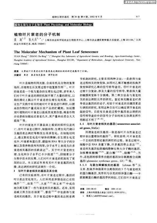 植物叶片衰老的分子机制