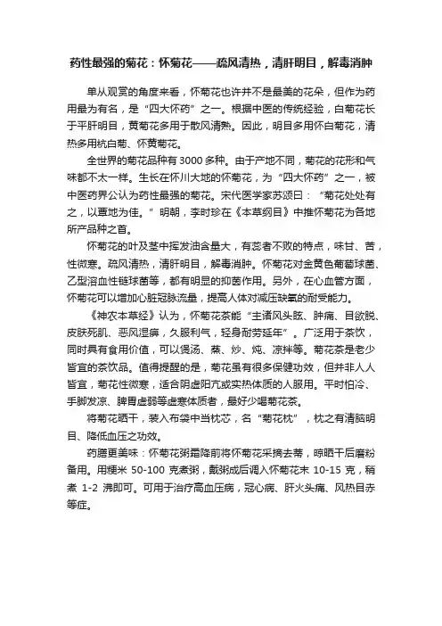 药性最强的菊花：怀菊花——疏风清热，清肝明目，解毒消肿