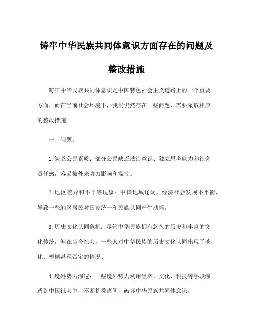 铸牢中华民族共同体意识方面存在的问题及整改措施
