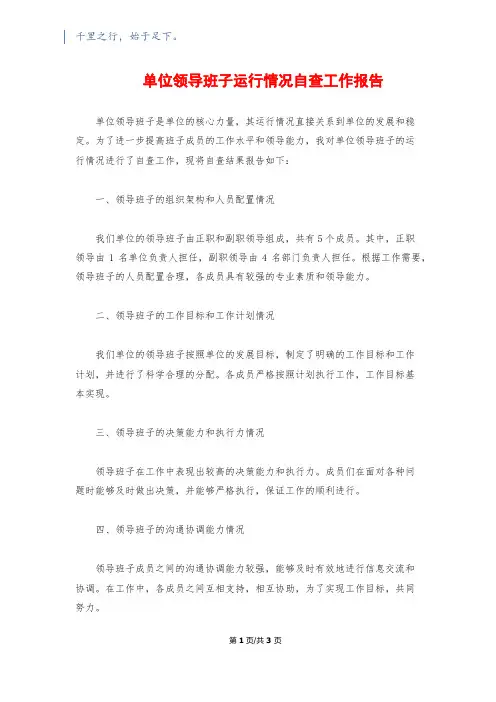 单位领导班子运行情况自查工作报告
