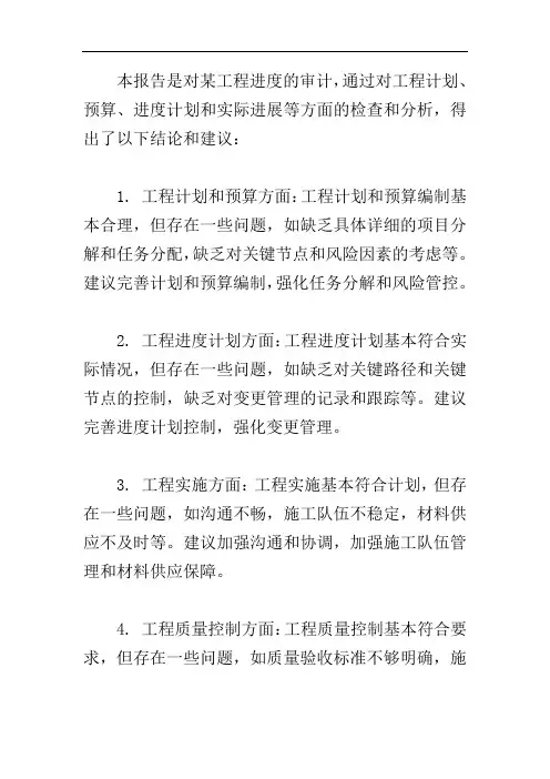 工程进度审计报告