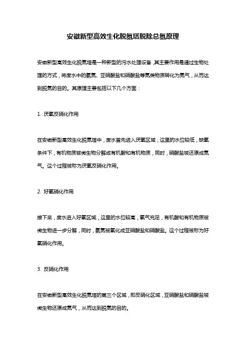 安徽新型高效生化脱氮塔脱除总氮原理