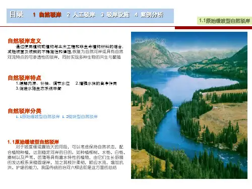 驳岸设计大全ppt课件.ppt