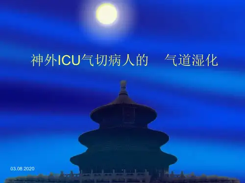 气道湿化方法ppt课件