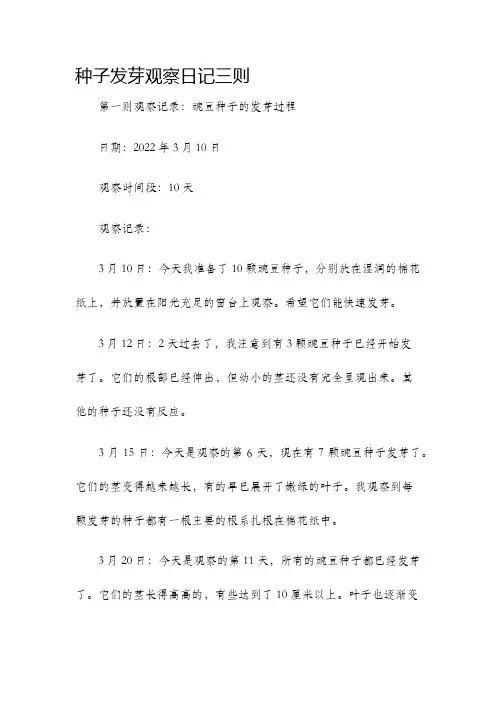 种子发芽观察日记三则
