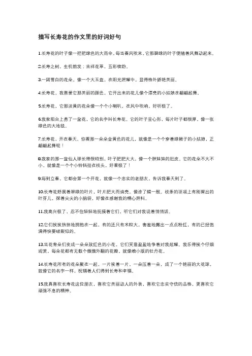 描写长寿花的作文里的好词好句