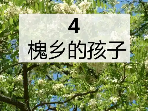 《槐乡的孩子》教学4ppt课件