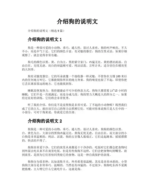 介绍狗的说明文