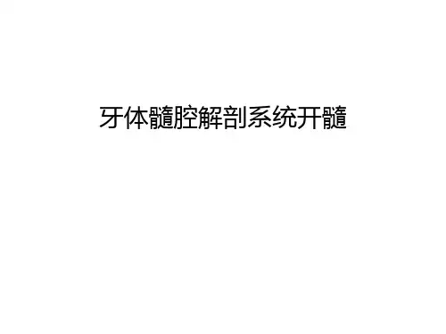 牙体髓腔解剖系统开髓资料讲解