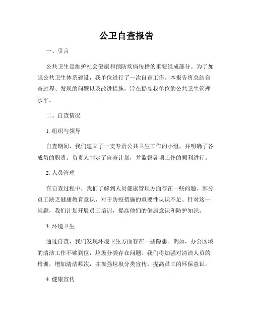 公卫自查报告