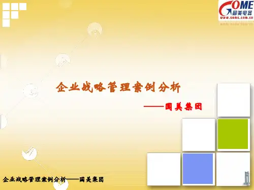 国美分析PPT