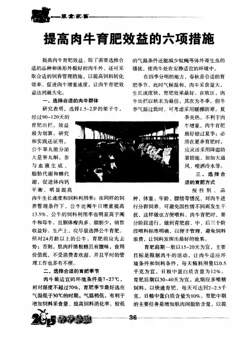 提高肉牛育肥效益的六项措施