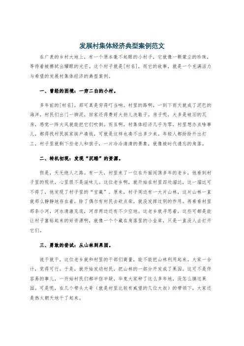 发展村集体经济典型案例范文
