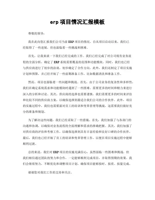 erp项目情况汇报模板