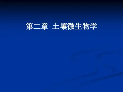 第二章土壤微生物-南京农业大学呀