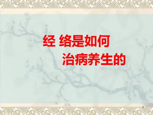 经络是如何治病的ppt课件
