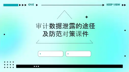 审计数据泄露的途径及防范对策课件