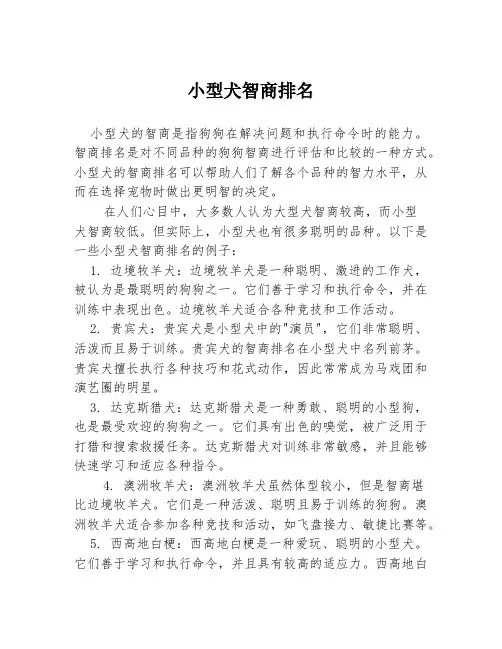 小型犬智商排名