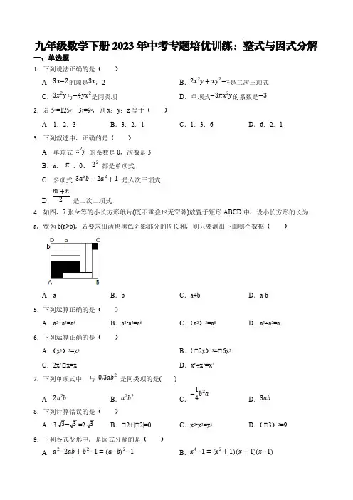 九年级数学下册2023年中考专题培优训练：整式与因式分解【含答案】