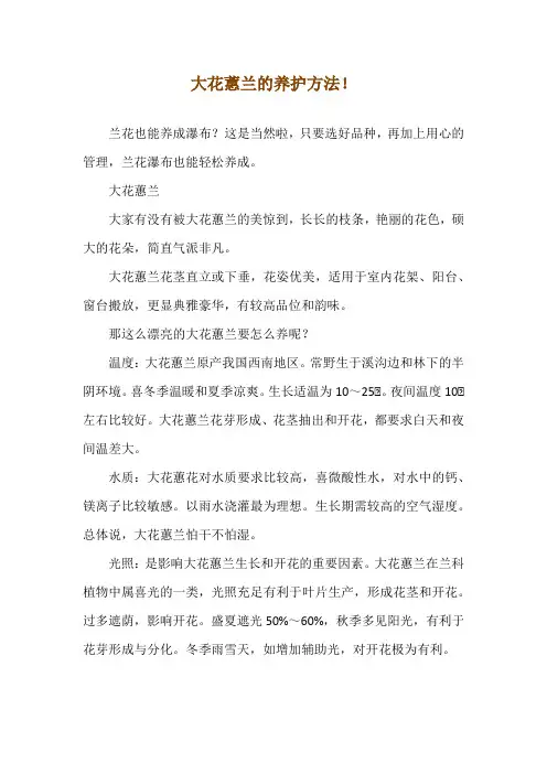 大花蕙兰的养护方法!