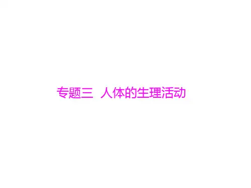 初中生物  中考九年级生物复习专题(6份打包) 人教版1精品课件