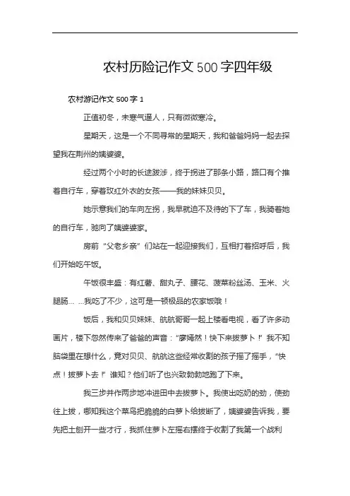农村历险记作文500字四年级