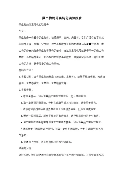 微生物的分离纯化实验报告