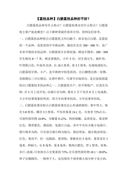 【荔枝品种】白腊荔枝品种好不好？