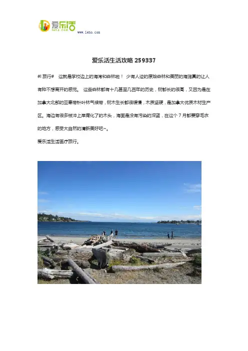 爱乐活生活攻略259337
