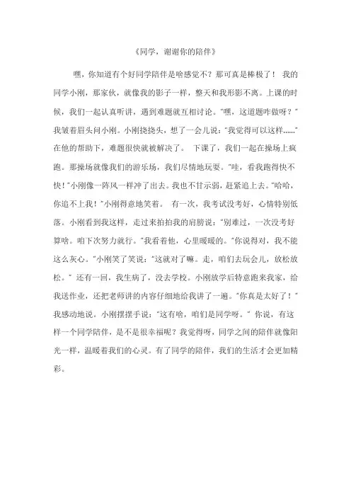 同学,谢谢你的陪伴作文