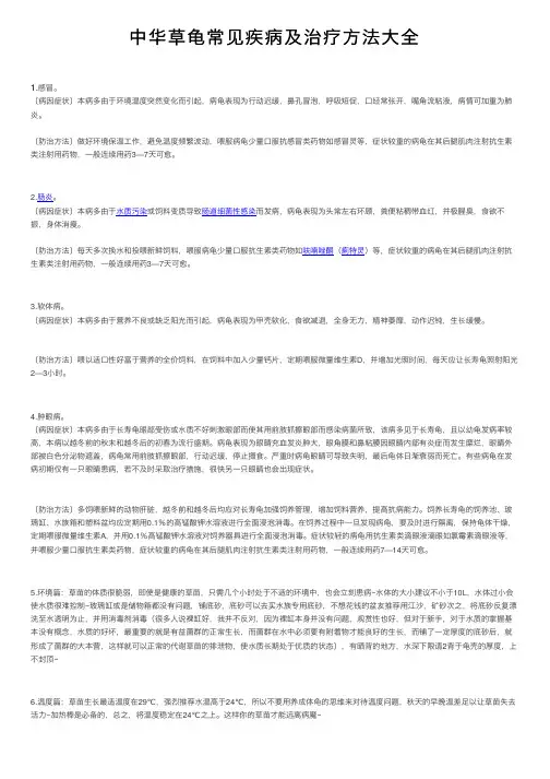 中华草龟常见疾病及治疗方法大全