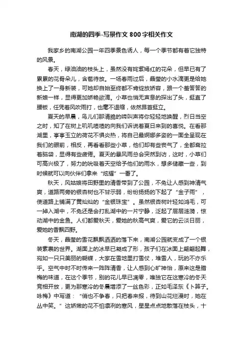 南湖的四季-写景作文800字相关作文