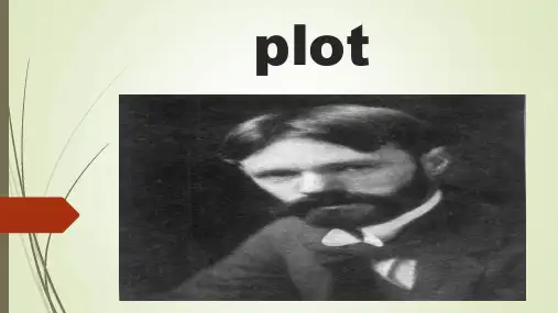 文学导论the plot