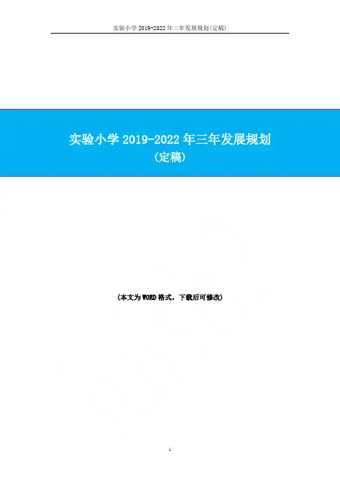 实验小学2019-2022年三年发展规划(定稿)
