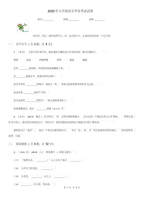 2020年小升初语文毕业考试试卷.pdf