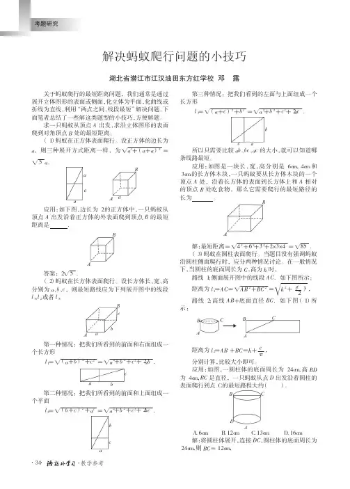 解决蚂蚁爬行问题的小技巧_邓露