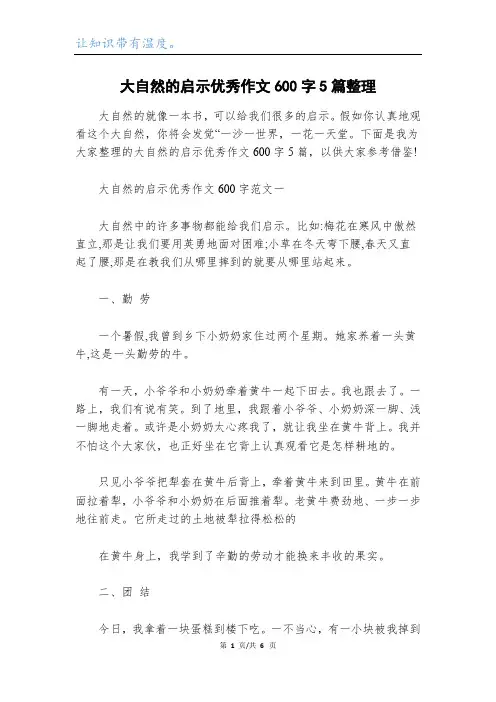 大自然的启示优秀作文600字5篇整理