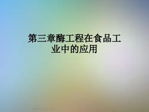 第三章酶工程在食品工业中的应用
