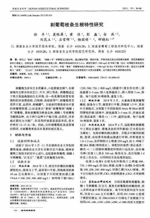 刺葡萄枝条生根特性研究