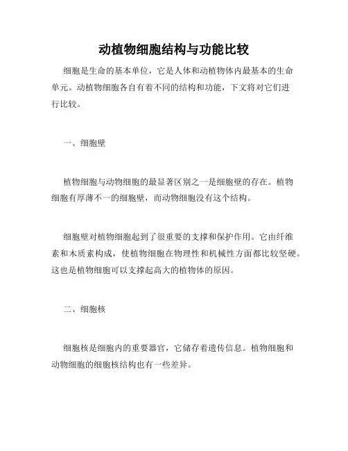 动植物细胞结构与功能比较