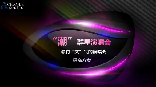 “潮”群星演唱会招商方案